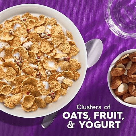 Special K Cold Breakfast Cereal, Fruit and Yogurt, Family Size 19.1 oz ...