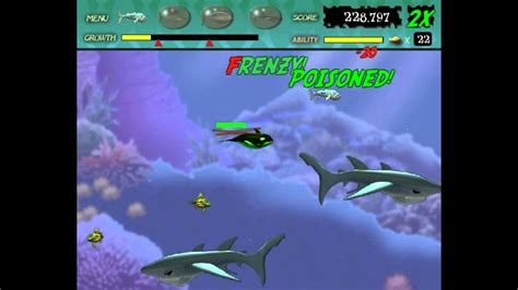 Feeding Frenzy 1 gameplay level 31 to 40 - YouTube