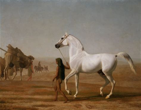 The Wellesley Grey Arabian Led through the Desert - YCBA Collections ...