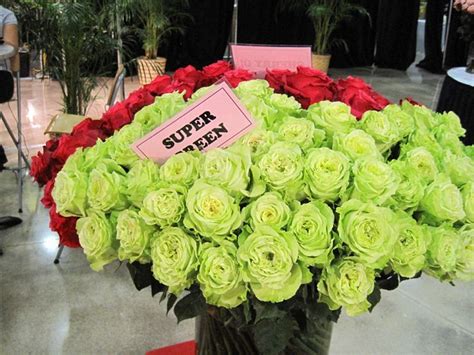 Flower show in Miami | Flower show, Flower arrangements, Flowers