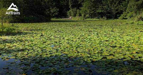 Best Trails in Memorial Park - Texas | AllTrails