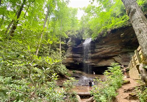 Pisgah National Forest - Welcome To Hendersonville, NC