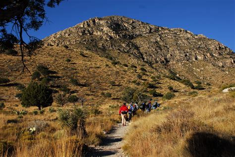 Texas Mountain Trail Daily Photo: Texas Mountain Trail Classics Week: Hiking the Tallest Peak in ...