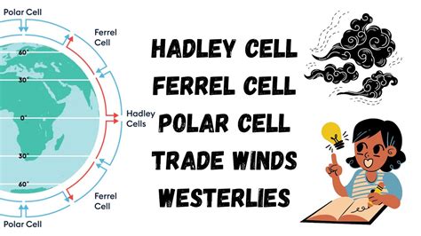 Atmospheric Circulation: What is a Hadley cell, Ferrel cell, Polar cell ...