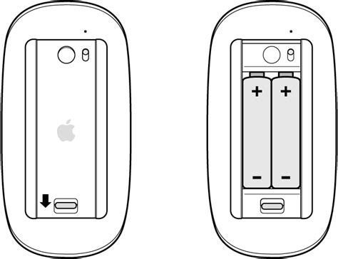 Change Magic Mouse batteries - Apple Support (PH)