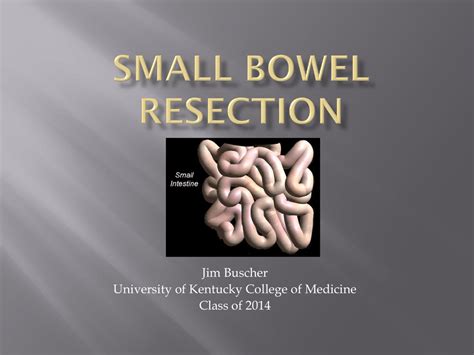 Small Bowel Resection