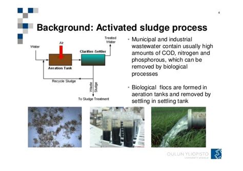 On-line optical monitoring of activated sludge floc morphopoly