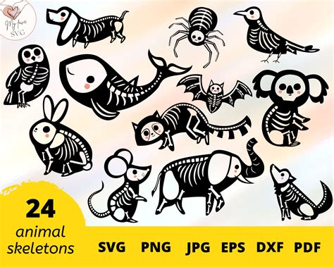 Cute Animal Skeleton Cliparts Skeleton Svg Halloween Animals - Etsy