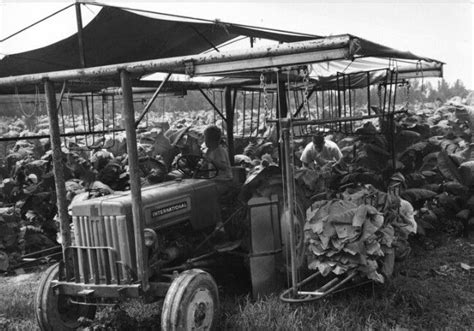 Tobacco Farming Equipment