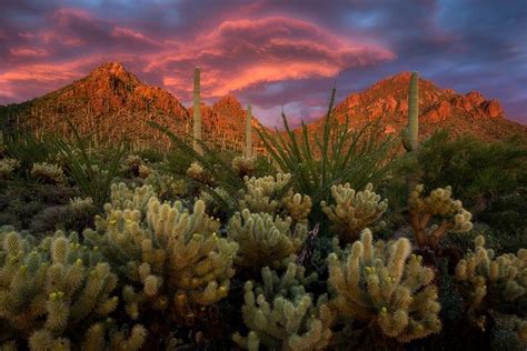 Tucson Mountain Park | Mountain park, Landscape photography, Desert sunset