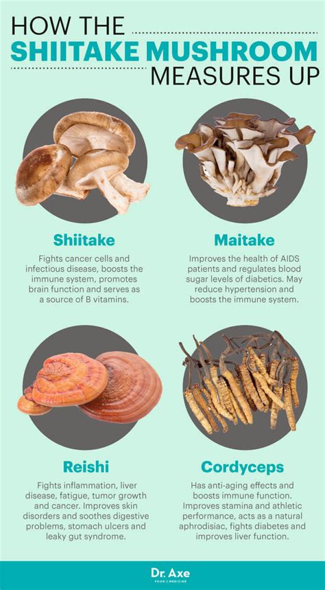 Shiitake Mushrooms vs. Other Mushrooms | AHCC