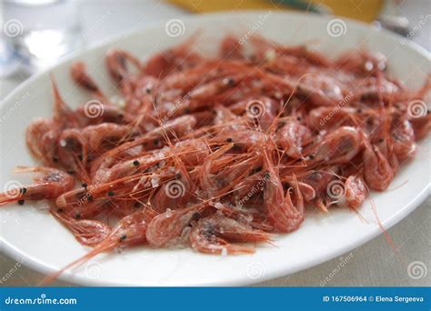 Mediterranean red prawns stock photo. Image of nutrition - 167506964