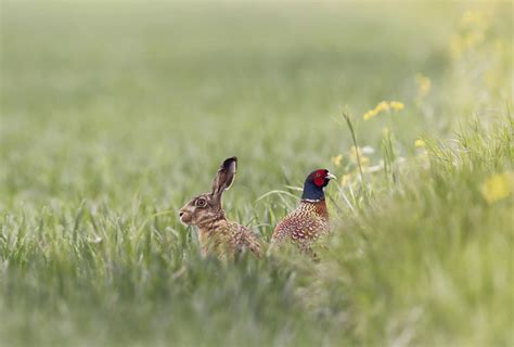 25 Gorgeous Nature Winning Photos Of The European Photography Awards 2023