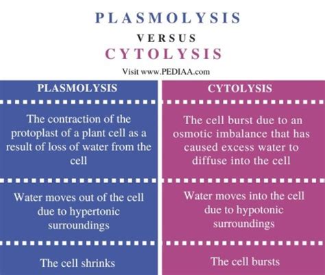 What is the Difference Between Plasmolysis and Cytolysis - Pediaa.Com