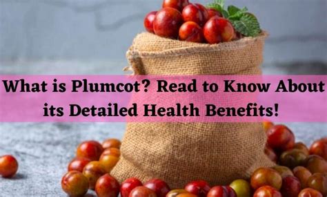 What is Plumcot? Read to Know About its Detailed Health Benefits!