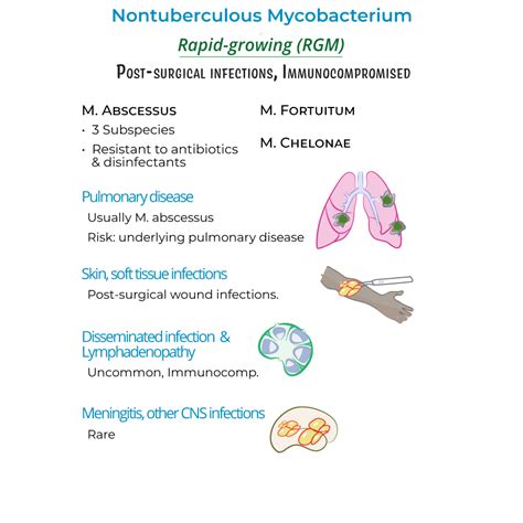 Immunology / Microbiology Glossary: Nontuberculosis Mycobacterium ...