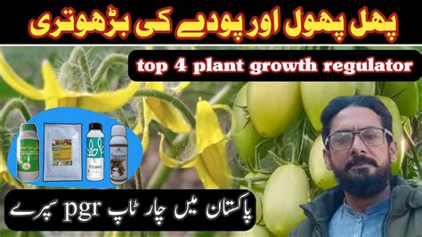 Best PGR plant growth regulator/ پھل پھول کیلئے چار بہترین سپرے - YouTube