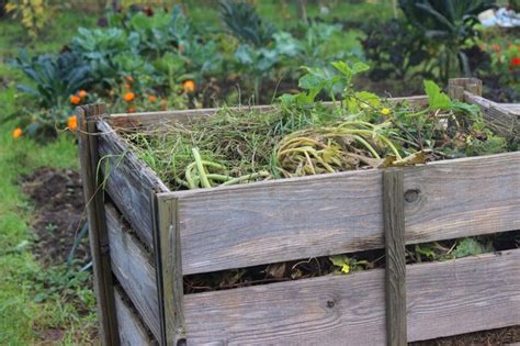 What Type of Compost Bin Is Best for You? | Hunker