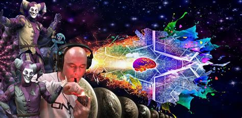 Machine World: Machine Elves Dmt