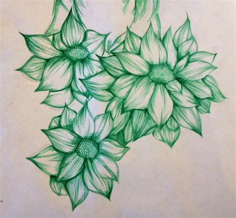 Flower illustration created with green biro pen | Biro drawing, Pen ...