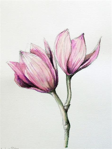 Flower Drawing With Color Easy Flower Colour Pencil Drawing At Getdrawings | Free For Personal ...