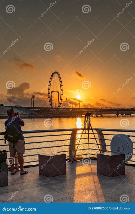 Marina Bay and Gardens at Night Sunrise Views Around Singapore , Asia Editorial Image - Image of ...