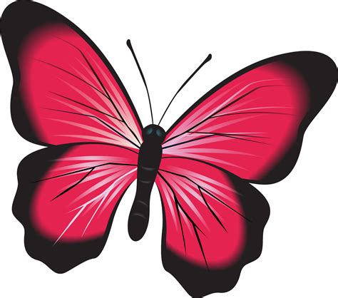 Pink And Black Butterfly Clipart Png