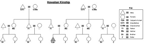 Hawaiian Kinship chart | Kinship, Math, Chart