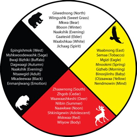 The Medicine Wheel - Curve Lake Cultural Centre | Native american medicine wheel, Medicine wheel ...