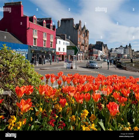 Oban town centre Stock Photo - Alamy