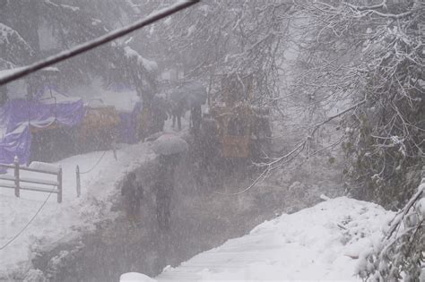 Shimla receives season’s first heavy snowfall - The News Himachal