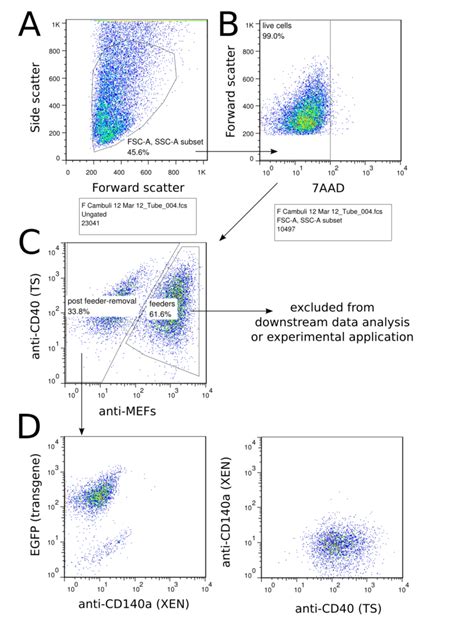 flow cytometry results interpretation - Pei Cagle