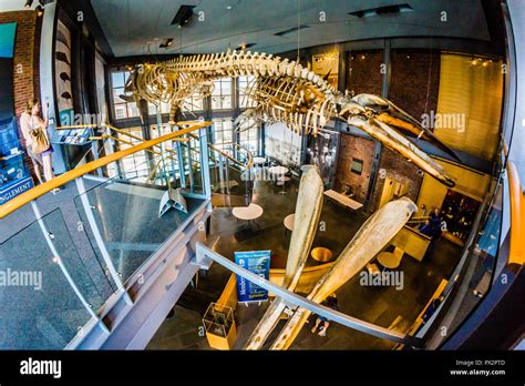 New Bedford Whaling Museum New Bedford, Massachusetts, USA Stock Photo - Alamy