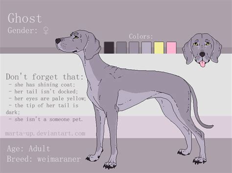 Ghost's reference (Survivors OC) by mARTa-Up on DeviantArt