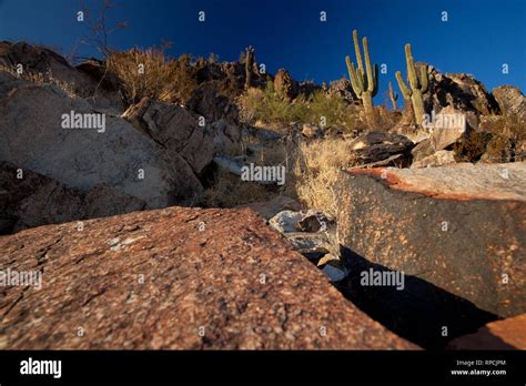 Phoenix Mountain Preserve Stock Photo - Alamy