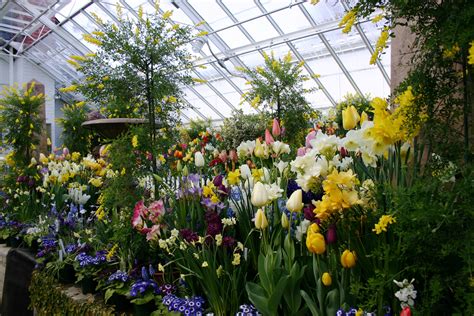 File:Smith botanic garden greenhouse.JPG - Wikipedia