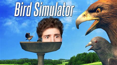 BIRD SIMULATOR (ONLINE!) - YouTube