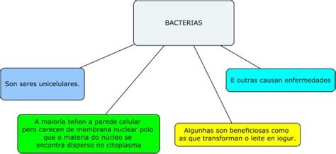 Mapa Conceptual de Las Bacterias | Mapas Conceptuales