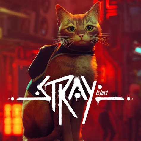 Stray- Xbox - Gamezawy