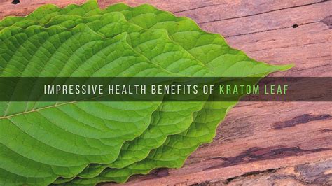 5 Impressive Health Benefits of Kratom Leaf