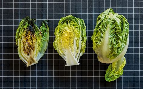 Baby gem recipes: brilliant ways with lettuce