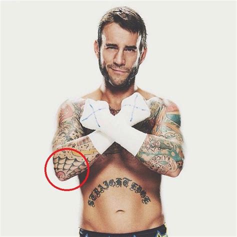 37+ Why Does Cm Punk Have A Pepsi Tattoo