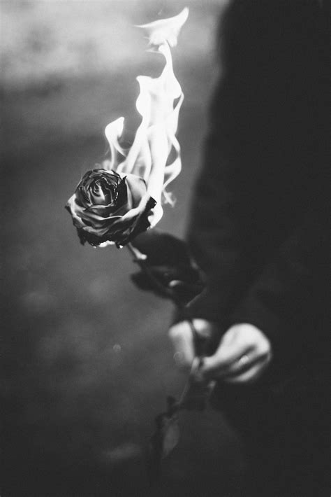 Fire Rose Wallpapers - Wallpaper Cave