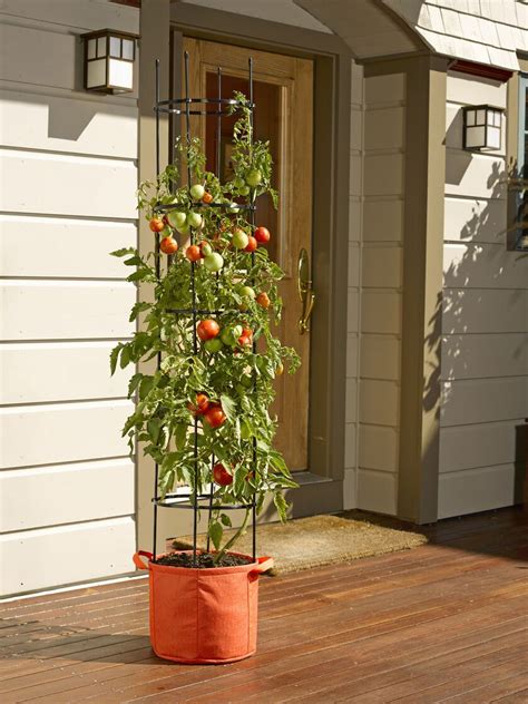 Tomato Grow Bag with 5' Integrated Cage | Gardeners.com | Growing tomatoes in containers ...