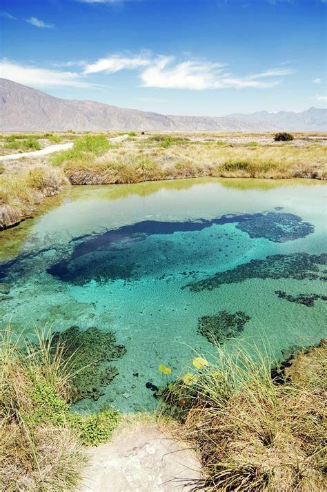 Geothermal Pool Photograph by Daniel Sambraus/science Photo Library