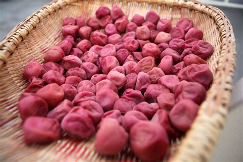 What Are Umeboshi or Umezuke, or Pickled Ume?