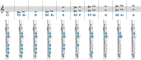 Flute Fingering Chart – toplayalong.com