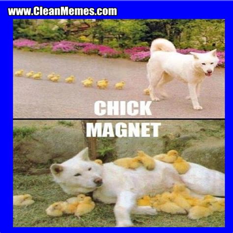 Chick Magnet – Clean Memes