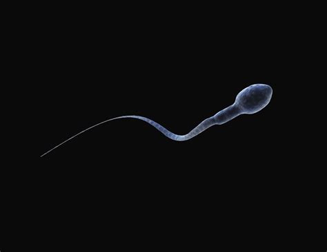 9 Things You Didn't Know About Sperm