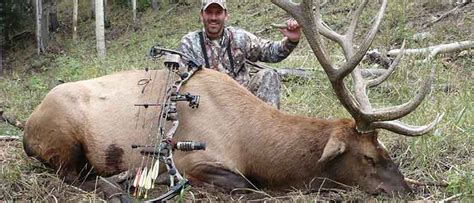 Elk Hunting Tips for Beginners | Basics of Hunting Elk